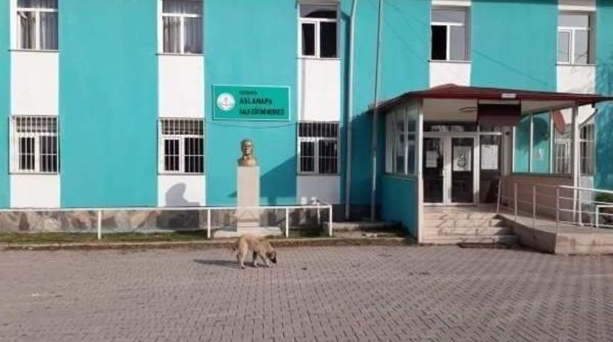 Turkuaz Rengi Aslanapa Halk Eğitimi Merkezi M&uuml;d&uuml;rl&uuml;ğ&uuml;&rsquo;n&uuml;n Sembol&uuml; Oldu