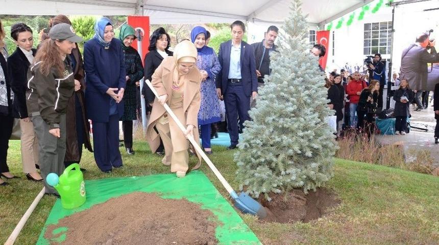 Emine Erdoğan &Ouml;ğrencilerle Fidan Dikti