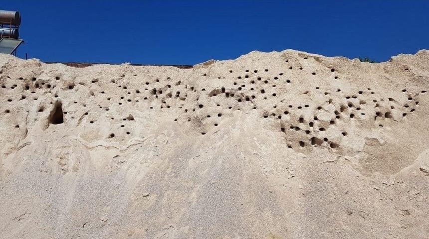 Kırlangı&ccedil;lar Yuvadan U&ccedil;unca Şantiyede Duran İşler Yeniden Başladı