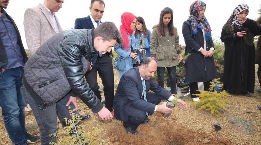 Beyşehir&rsquo;de 2023 Adet Orman Fidanı Toprakla Buluşturuldu