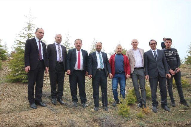 Beyşehir’de 2023 Adet Orman Fidanı Toprakla Buluşturuldu