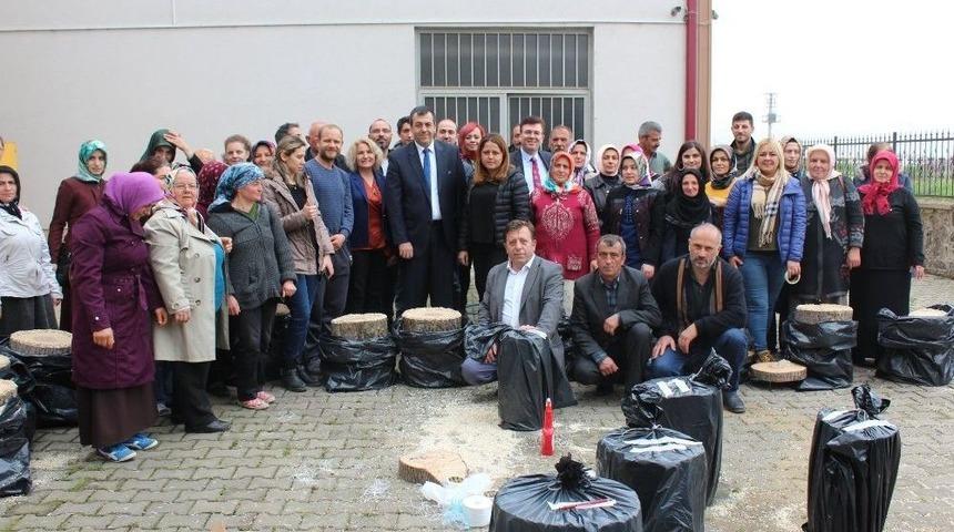 Vakfıkebir&rsquo;de "istiridye Mantarı Yetiştiriciliği" Kursu D&uuml;zenlendi