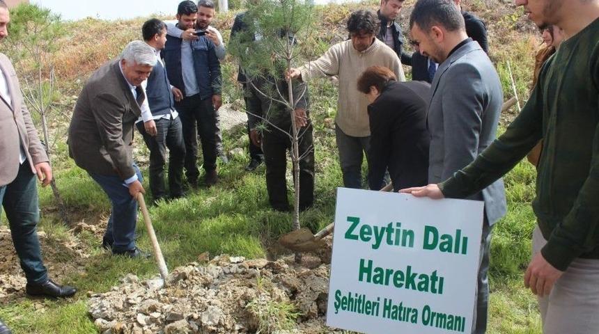 Üniversite Öğrenciler Şehitler Anısına Fidan Dikti