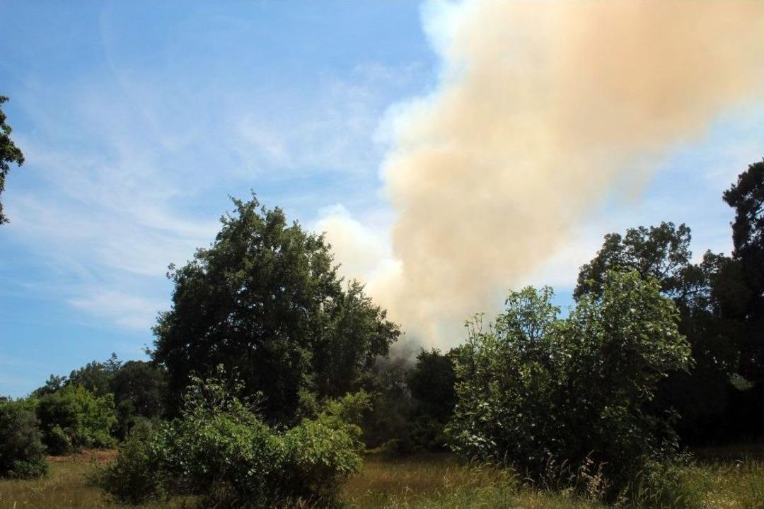 Antalya&rsquo;da Orman Yangını