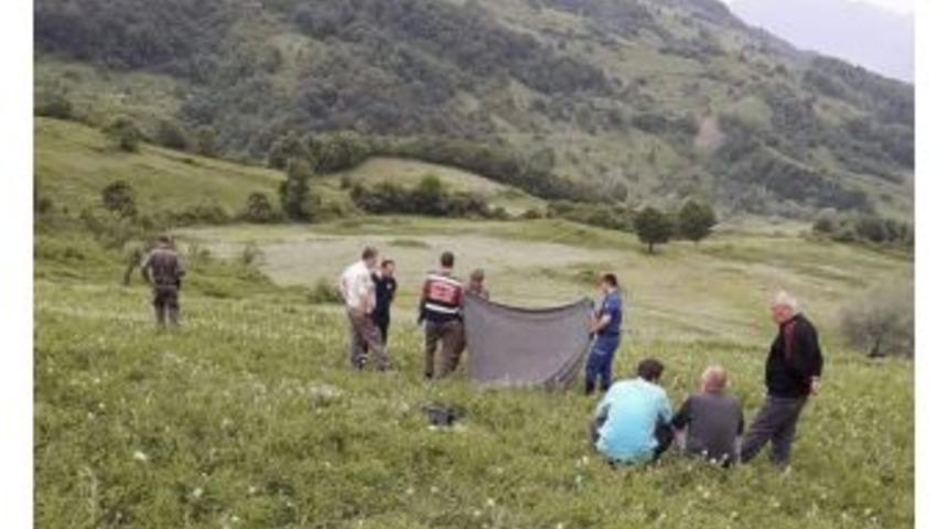 Tarlada &Ccedil;alışırken &Uuml;st&uuml;ne Yıldırım D&uuml;şen Yaşlı Adam Hayatını Kaybetti