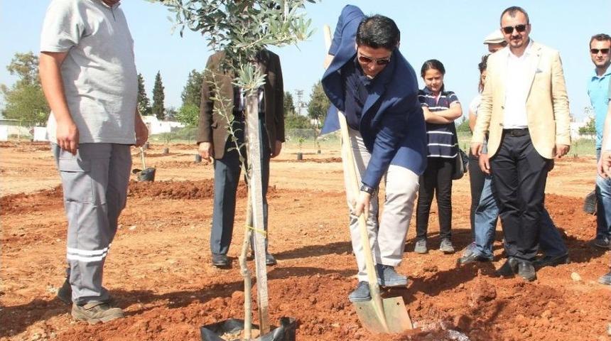 D&ouml;şemealtı Belediyesi 8 Bin 300 Fidan Dikti