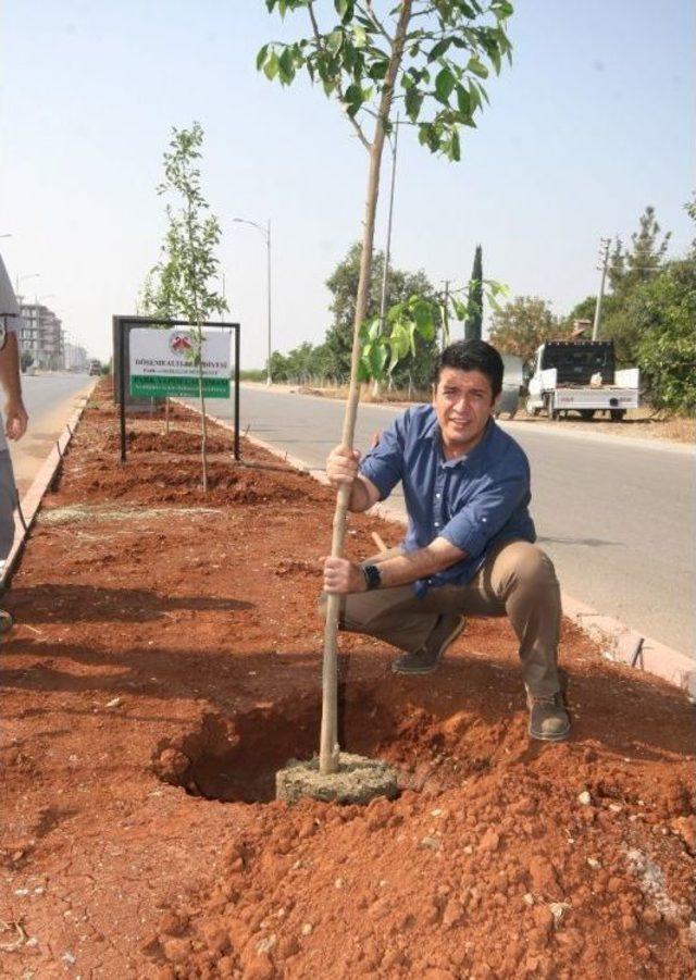 Döşemealtı Belediyesi 8 Bin 300 Fidan Dikti