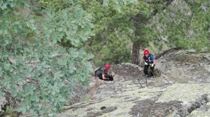 Tosya&rsquo;da Kayalıklarda Mahsur Kalan K&ouml;pek, Afad Ekiplerince Kurtarıldı