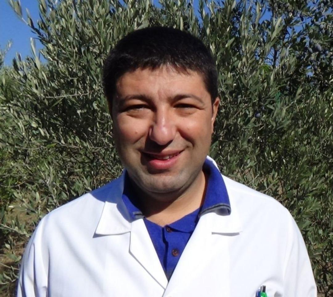 (&ouml;zel Haber) Sağlık İ&ccedil;in Zeytinyağında Erken Hasat Ve Soğuk Sıkımı Tercih Edin