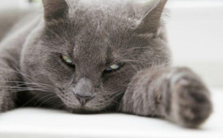 Ne Kadar Stresli Bir Yaşamınız Var?