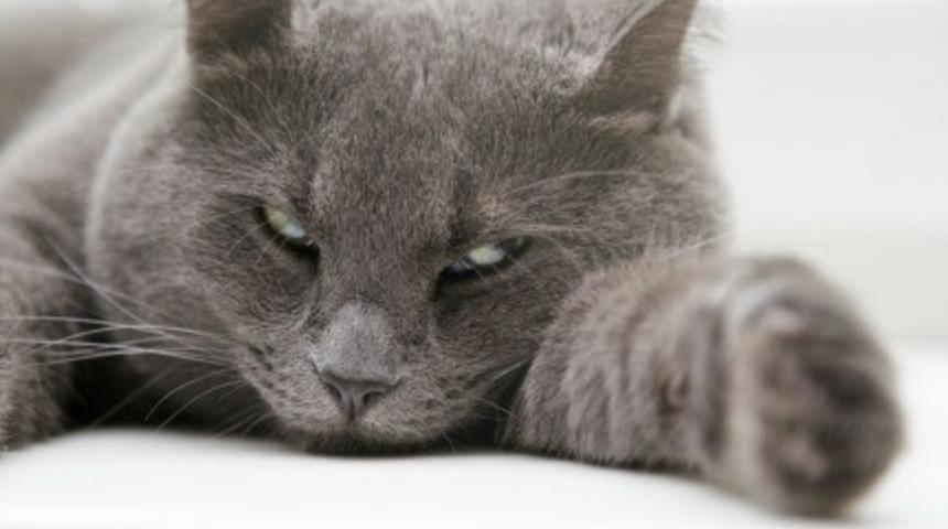 Ne Kadar Stresli Bir Yaşamınız Var?