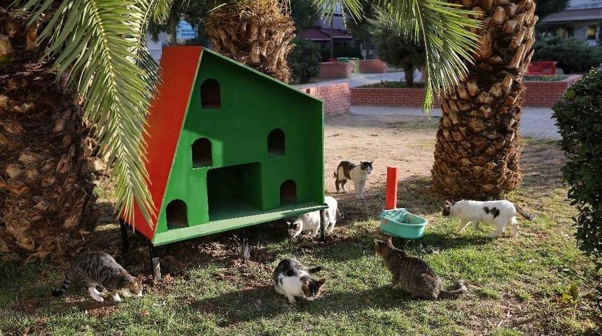 Sokak Hayvanlarına Sıcak Yuva