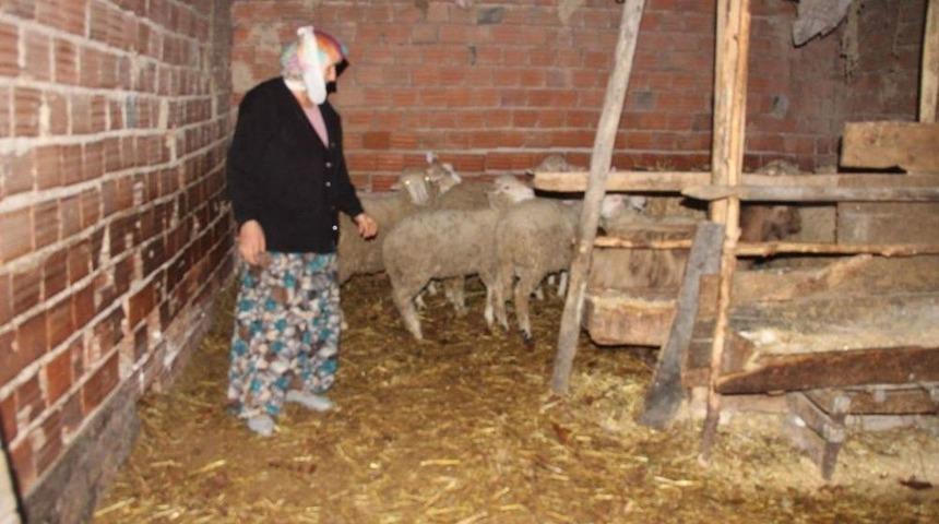 Şaphaneli Perihan Yavuz: Yetkililerden Elektrik Mağduriyetimin Bir An Önce Giderilmesini İstiyorum