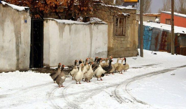 Erzurum’da Kar Yağışı G5