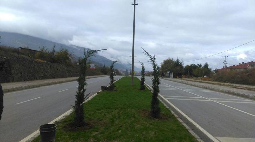 Simav&rsquo;da Kaldırım Ve Ref&uuml;jler Ağa&ccedil;landırılıyor