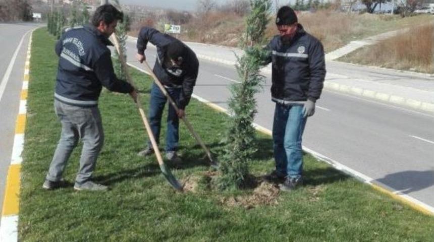 Simav&rsquo;da 960 Fidan Toprakla Buluştu