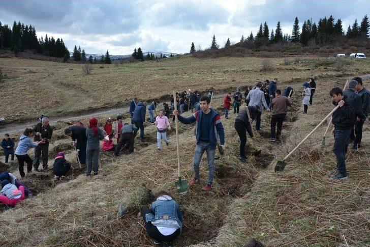Kabadüz’de 500 Fidan Toprakla Buluştu G1