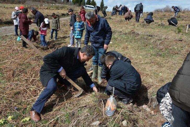 Kabadüz’de 500 Fidan Toprakla Buluştu G2