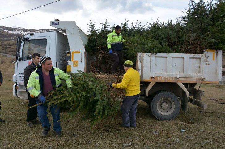 Kabadüz’de 500 Fidan Toprakla Buluştu G3
