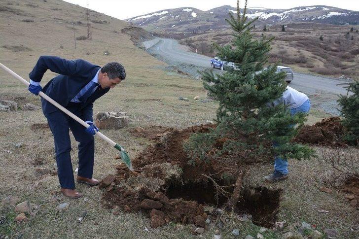 Kabadüz’de 500 Fidan Toprakla Buluştu G4
