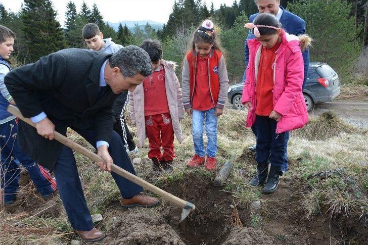 Kabadüz’de 500 Fidan Toprakla Buluştu G5