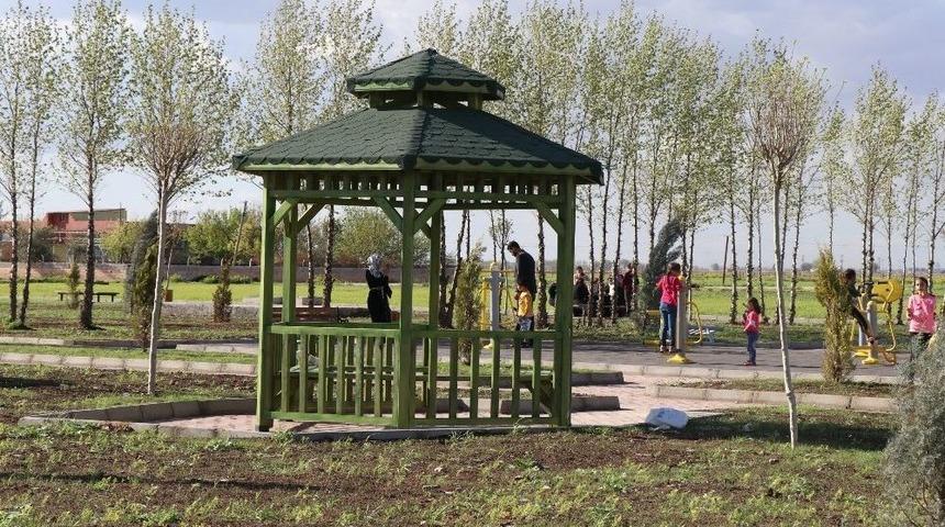 Suru&ccedil;&rsquo;ta Yeşillendirme &Ccedil;alışmaları S&uuml;r&uuml;yor