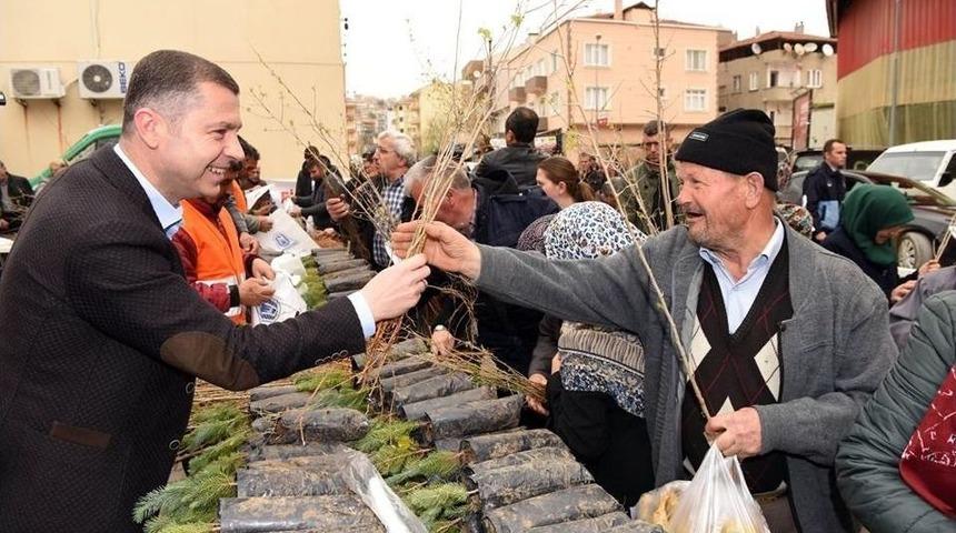 &Ccedil;an&rsquo;da 25 Bin Fidan Dağıtıldı