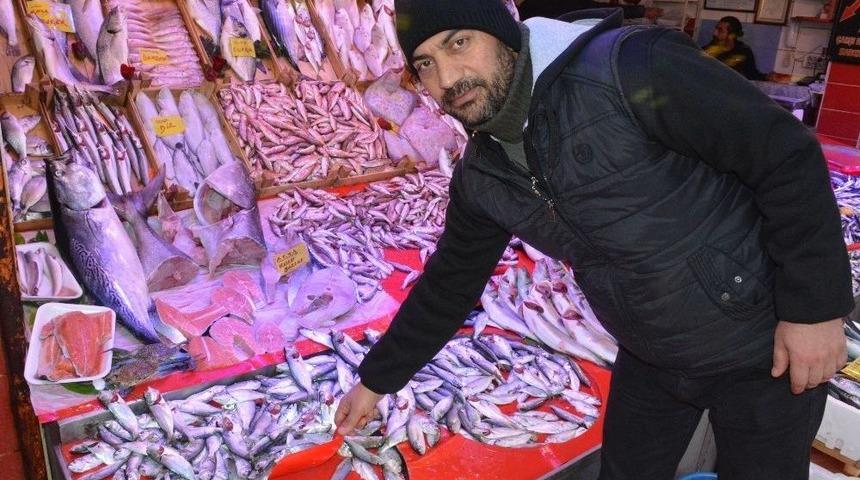 Balık Azlığının Nedeni Yanlış Avlanma