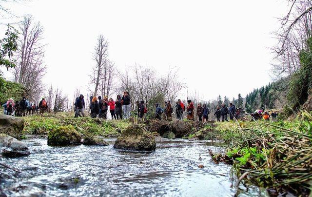 Doğa Yürüyüşleri Büyük Yayla’da Başladı