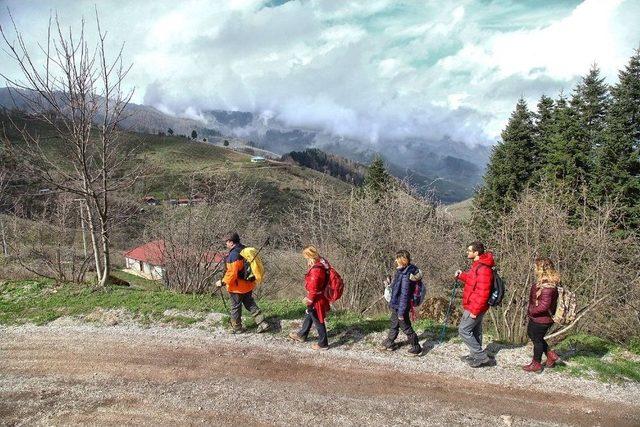 Doğa Yürüyüşleri Büyük Yayla’da Başladı