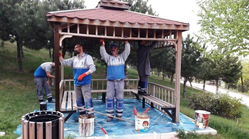 Başkent Parkları Yaza Hazırlanıyor