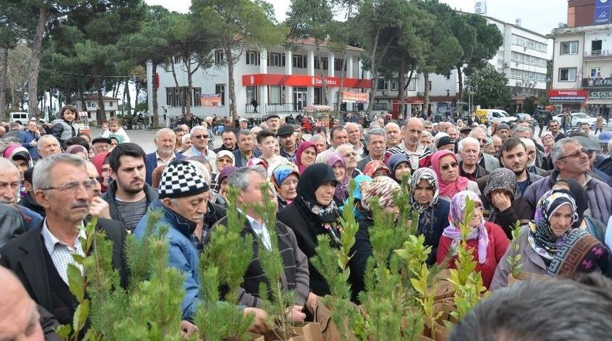 7 Bin Fidan Dağıtıldı