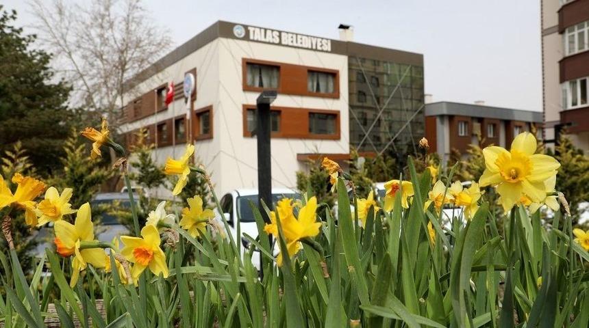 Talas Caddelerine Bahar Geldi