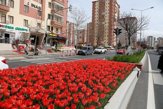 Talas Caddelerine Bahar Geldi