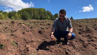 Dünyada “kara Elmas” Olarak Bilinen Trüf Mantarı Giresun’da Da Yetiştirilecek