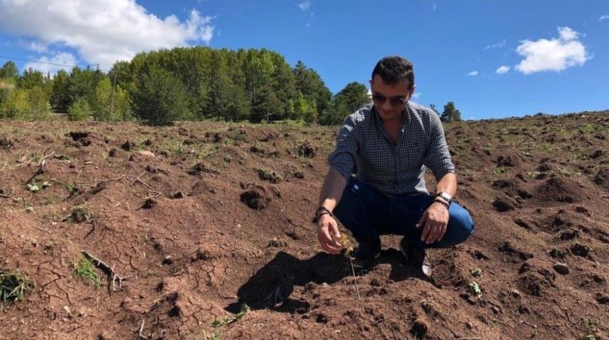 Dünyada “kara Elmas” Olarak Bilinen Trüf Mantarı Giresun’da Da Yetiştirilecek