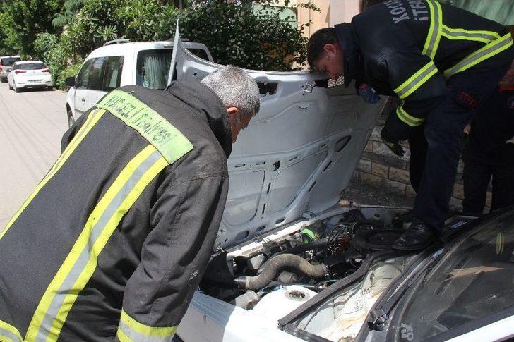 Arabanın İçine Giren Yılan İtfaiyeyi Seferber Etti G1