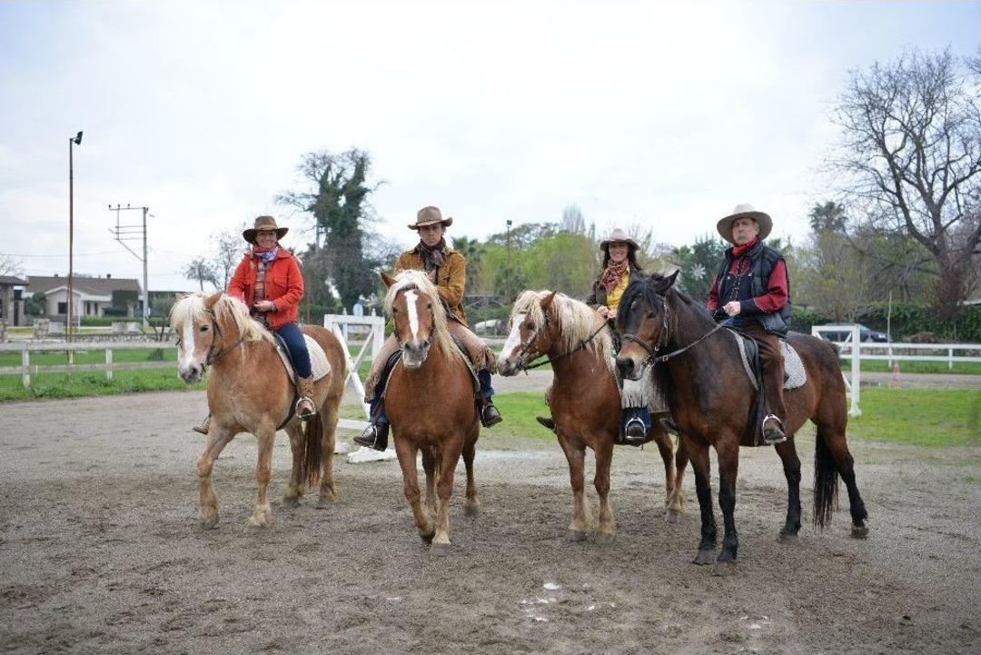 Abd&rsquo;li Kovboyların T&uuml;rk Atlarıyla İmtihanı