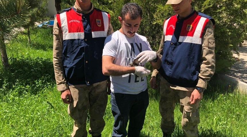 Jandarmadan &Ouml;rnek Davranış