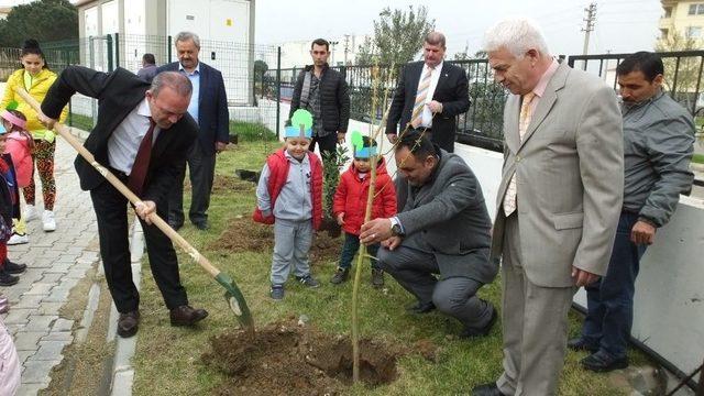 Burhaniyeli Miniklerin Birer Dikili Ağacı Oldu