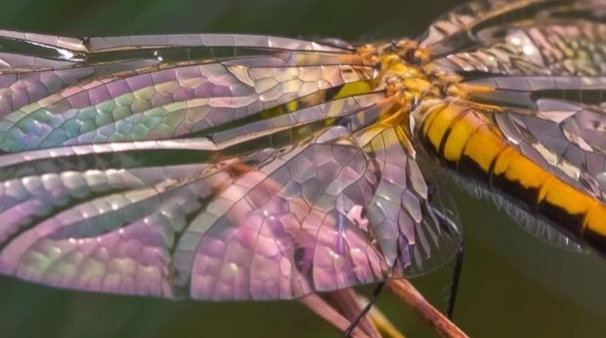 Bakınca Hipnotize Olacağınız 10 Yakın &Ccedil;ekim Helikopter B&ouml;ceği