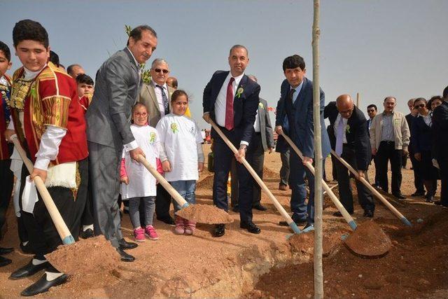 Adana Btü’de Dünya Ormancılık Haftası Kutlandı