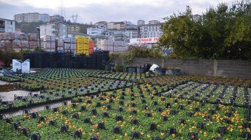 Alaplı&rsquo;da Park Ve Bah&ccedil;elerin Bakımı S&uuml;r&uuml;yor
