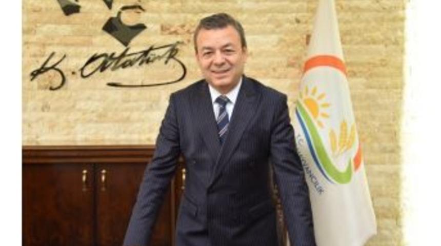 Antalya&rsquo;dan D&uuml;nyaya Bombus Arısı İhracatı