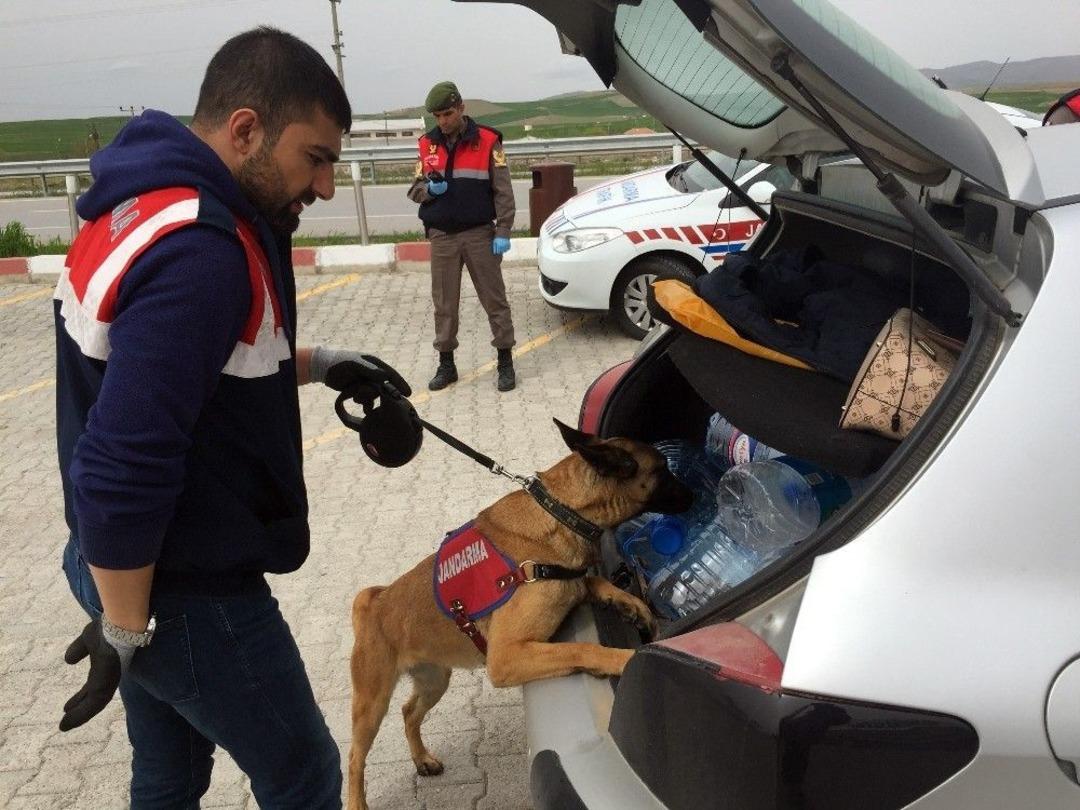 Jandarmadan K&ouml;pekli Yol Denetimi