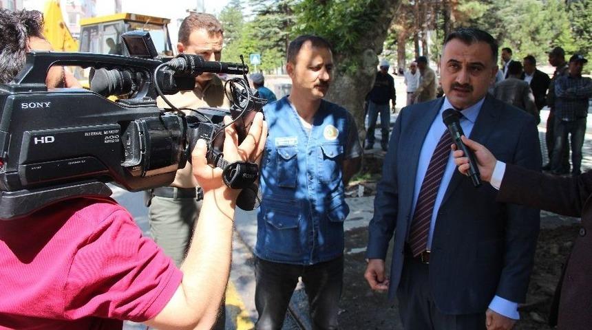 Elbiz Caddesindeki &Ccedil;ınar Ağa&ccedil;larını Kurtarma Operasyonu