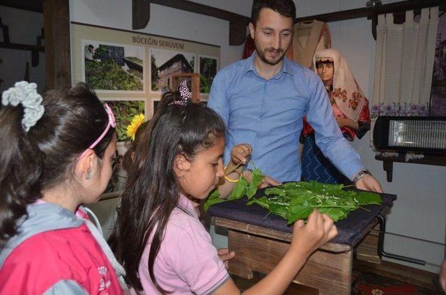 Müzede Bulunan İpek Böcekleri Ziyaretçilerini Ağırlıyor