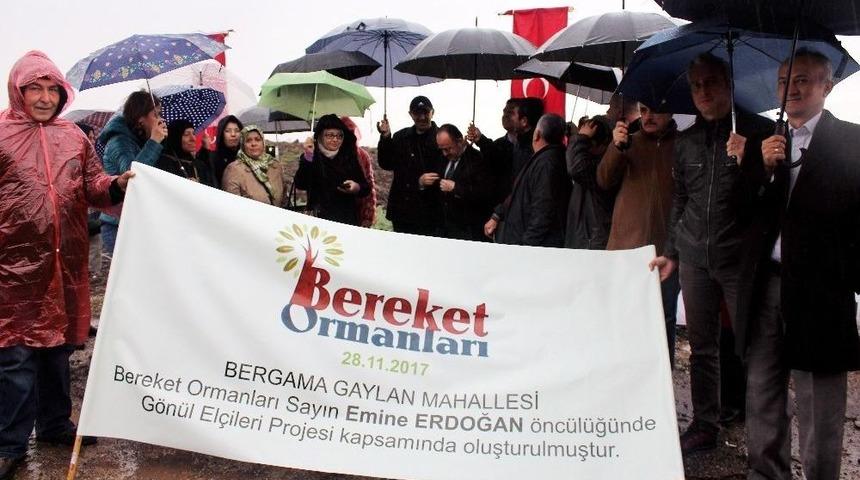 Bergama Bereket Ormanı&rsquo;nda Fidanlar Toprakla Buluştu