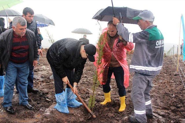 Bergama Bereket Ormanı’nda Fidanlar Toprakla Buluştu