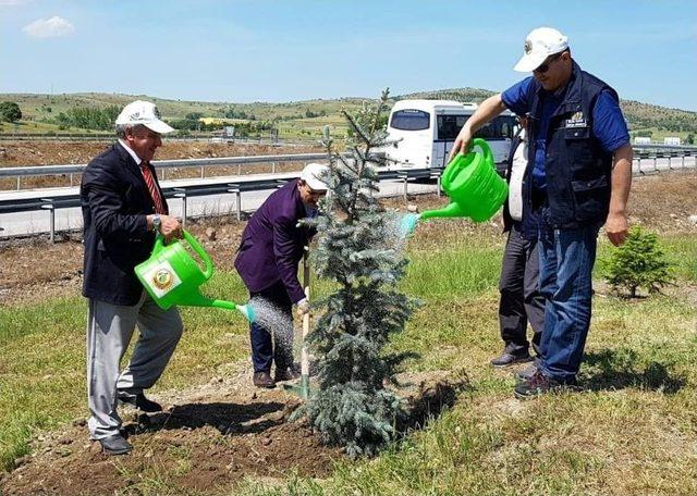 Balıkesir’de İmam Hatipliler Fidan Dikti